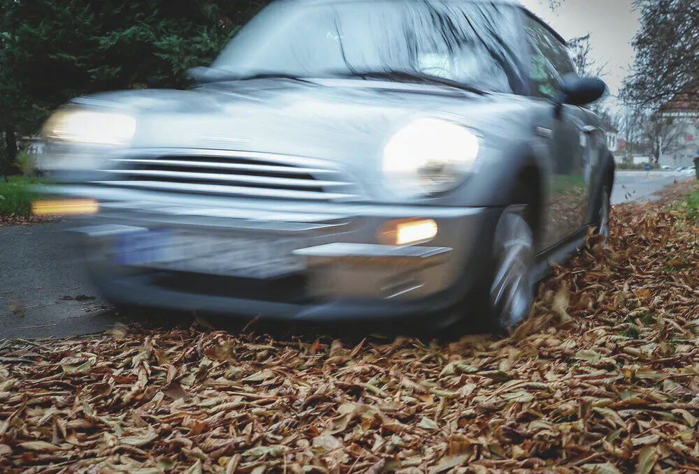vezetés, falevél, lehullott falevél, ősz, autó, kocsi,