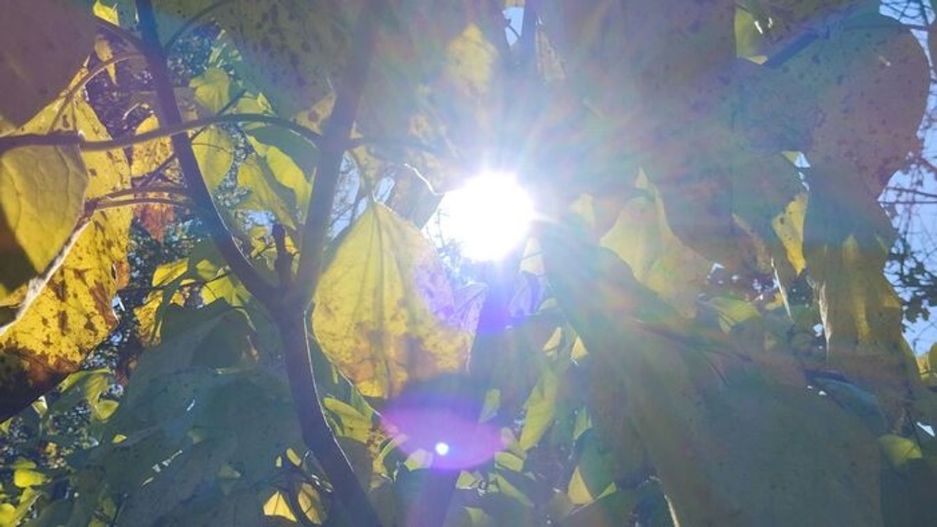 Felmelegedés időjárásunkban, napos idővel indít a szerda