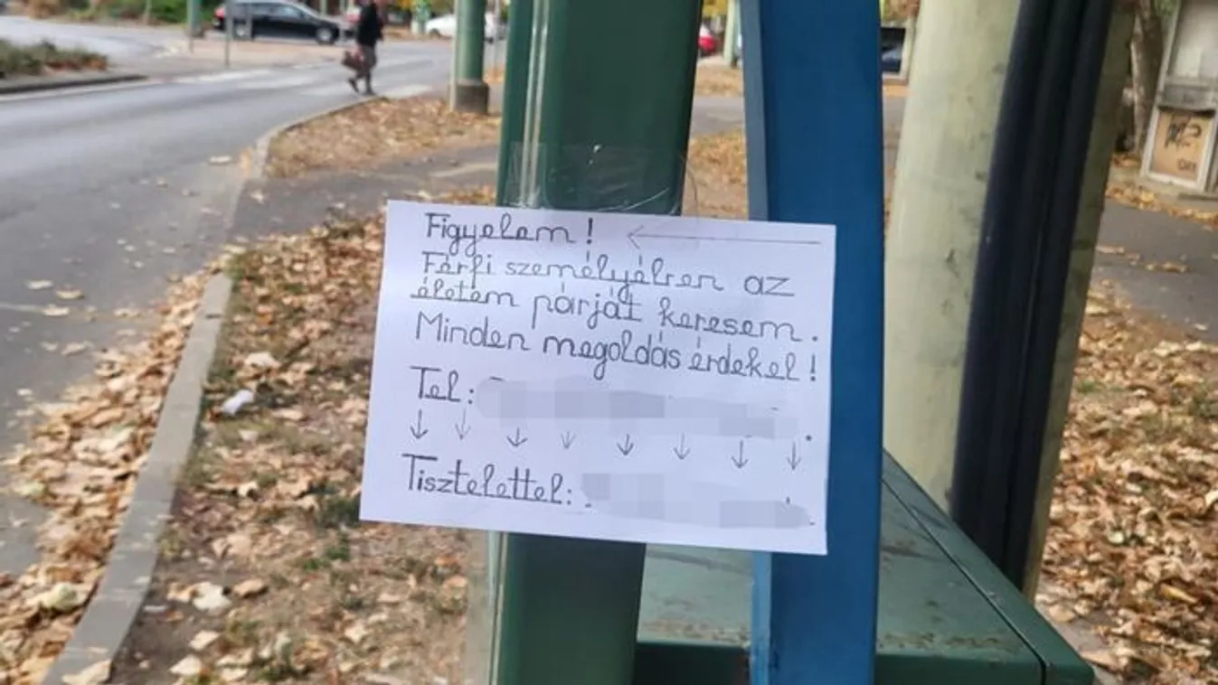 Nem hiszed el, hogy keres magának párt egy nő Szegeden