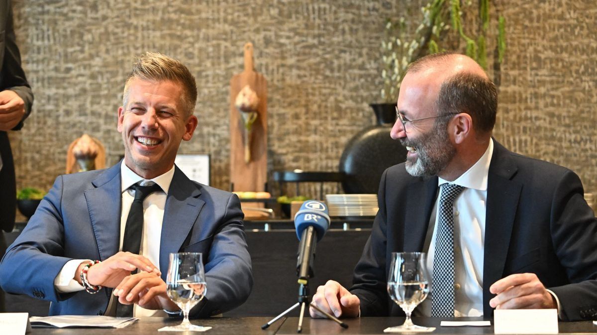 magyar péter tisza párt manfred weber