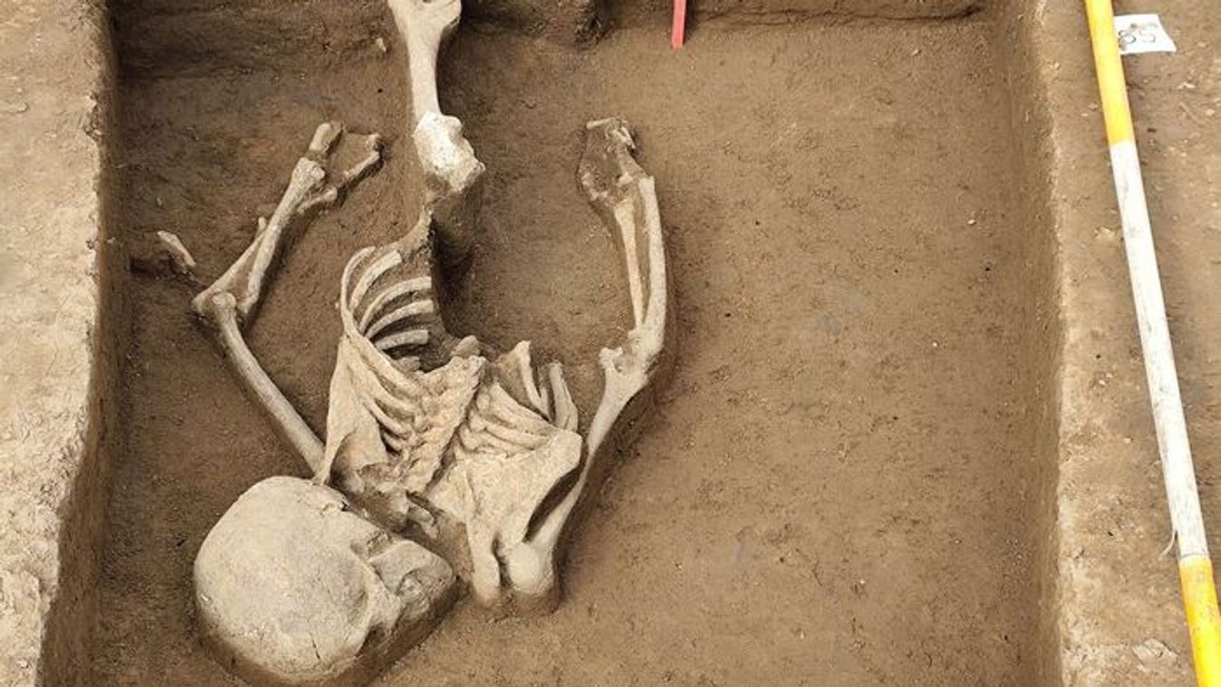 Hason fekvő csontvázra bukkantak Tokajban, nem hiszed el, hogy mi volt mellette!