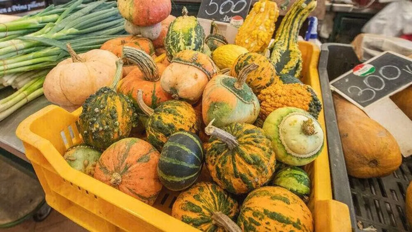 Melyik tök jó sütve, melyik főzve? Mutatjuk!