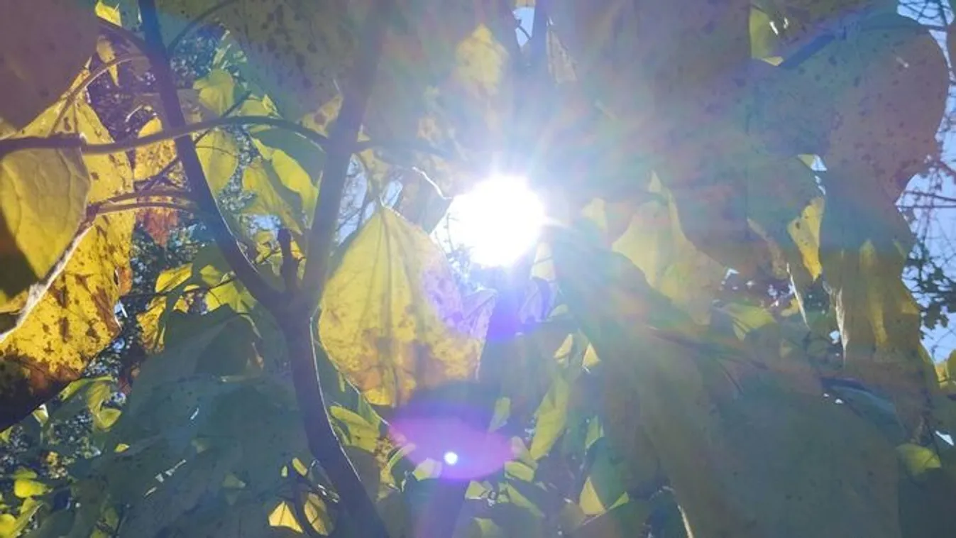 Felmelegedés időjárásunkban, napos idővel indít a szerda