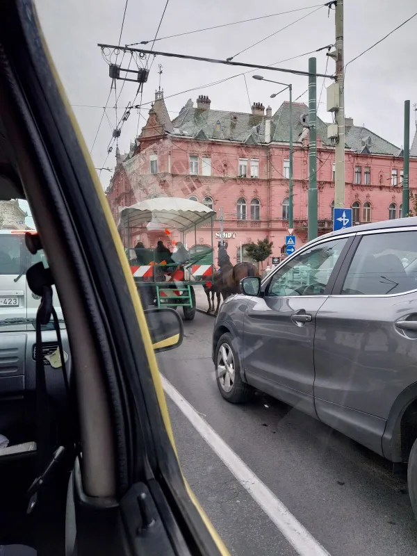 Lovaskocsi akadályozta a forgalmat