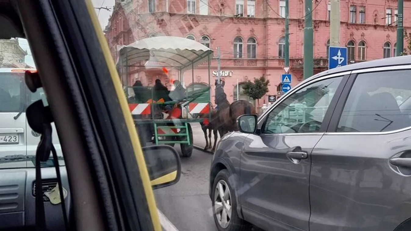 Lovaskocsi akadályozta a forgalmat Szegeden
