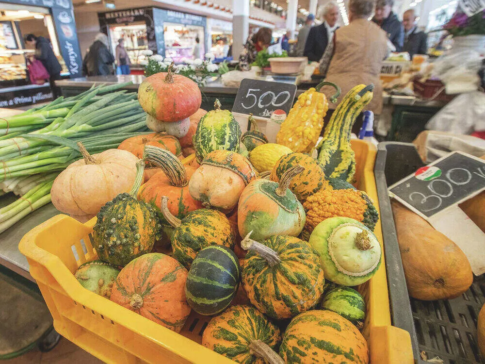 20251008_Piaci_korkep_birs_korte_kaposzta_fg_fmh (7)