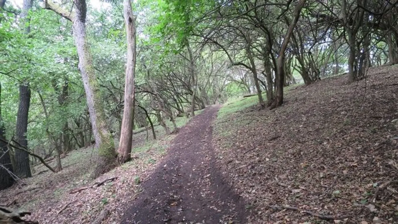 Itt találták meg Kaszás Nikolettet, búcsúznak szerettei