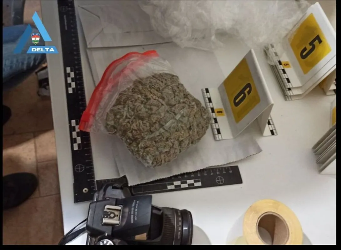 Összesen fél kilogramm drogot találtak a DELTA Program nyomozói a salgótarjáni családi házban.