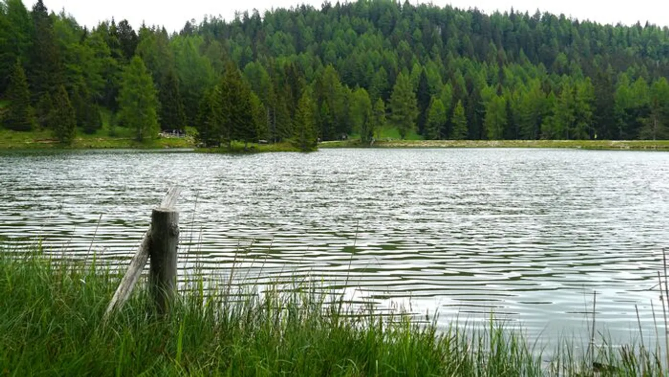 Sorozatgyilkos áldozatai a tavaknál! Meglepő titkok!