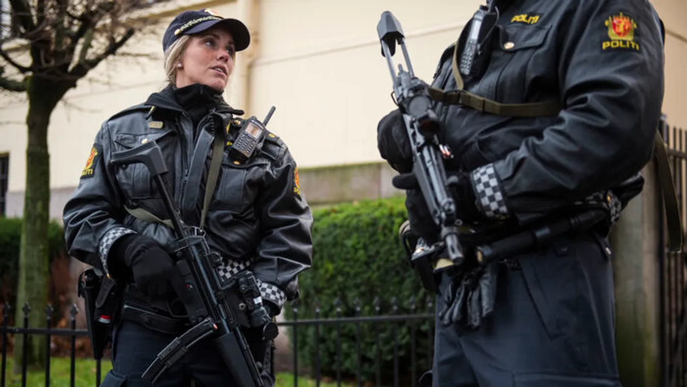 A svéd modellnek szó szerint lőttek