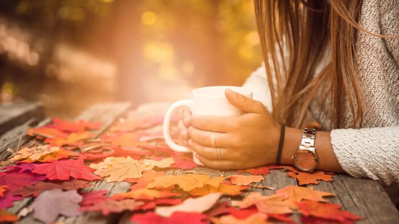 Eláll az eső, de jön a hideg! Igazi őszi időjárás várható