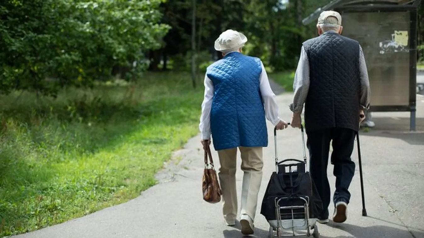 Százezreket venne ki a nyugdíjasok zsebéből a Tisza