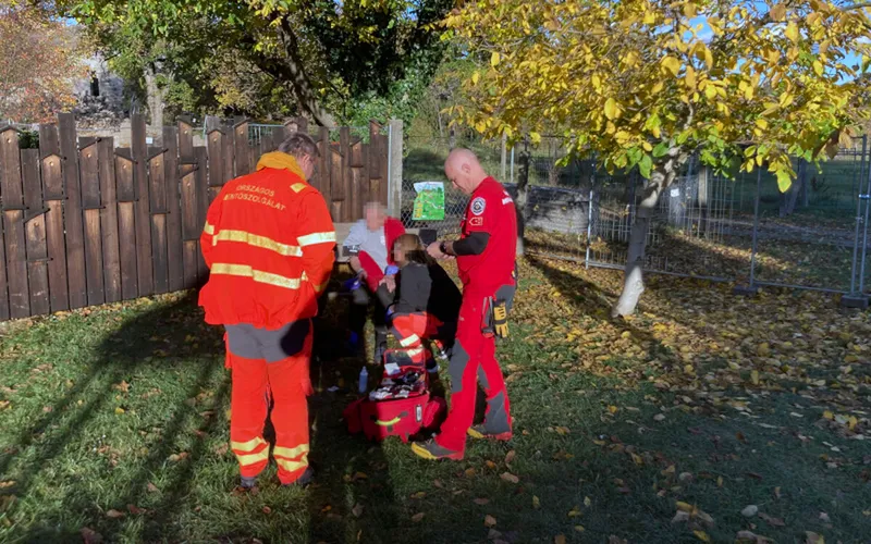 A nyugdíjas férfi az idősek otthonából akart meglépni, ekkor akadt fenn a kerítésen