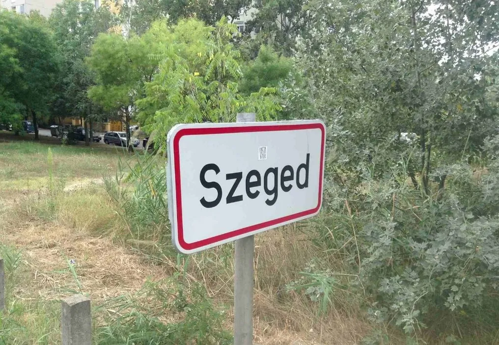 Lovaskocsi akadályozta a forgalmat