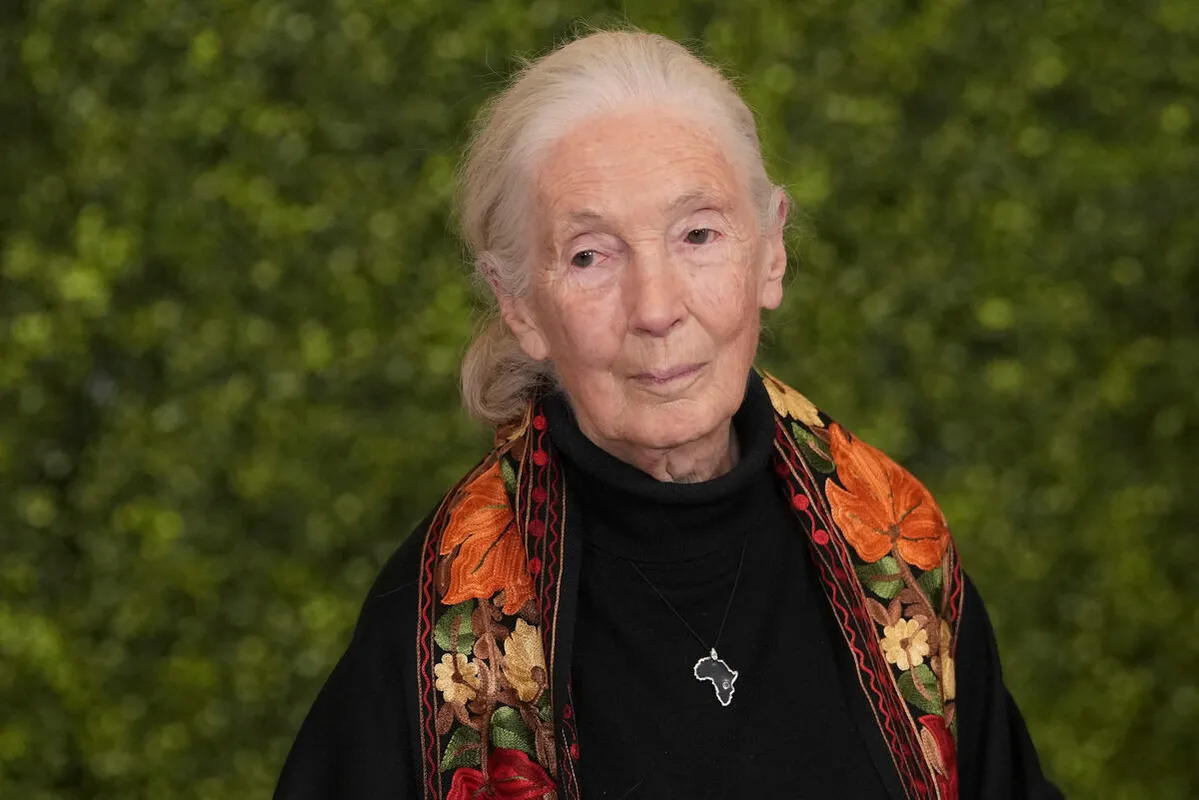 Jane Goodall