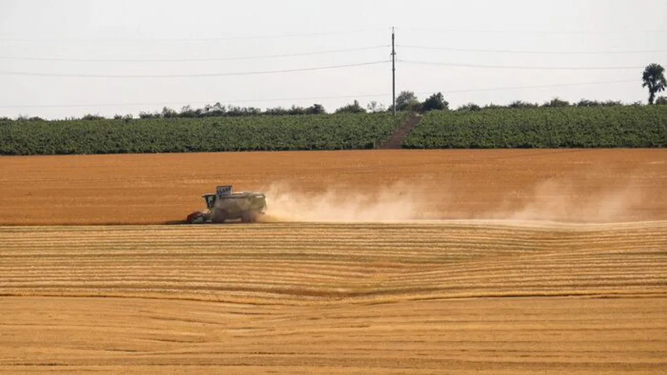 Háborús vészhelyzet miatt gabonatárolókat építenek a svédek