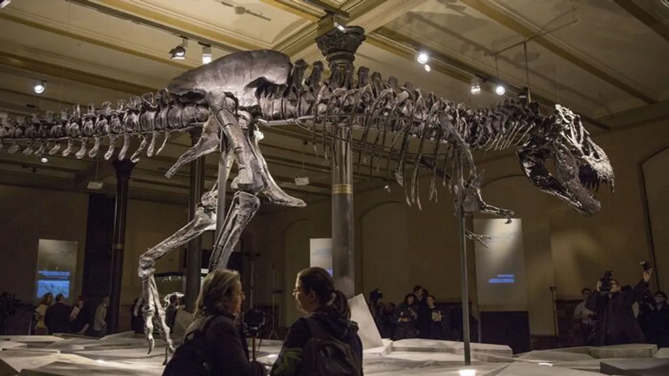 Érintetlen dinoszaurusztojásra bukkantak Argentínában