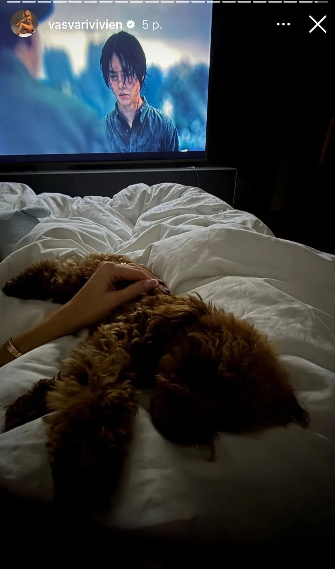 Vasvári Vivien kutyusa