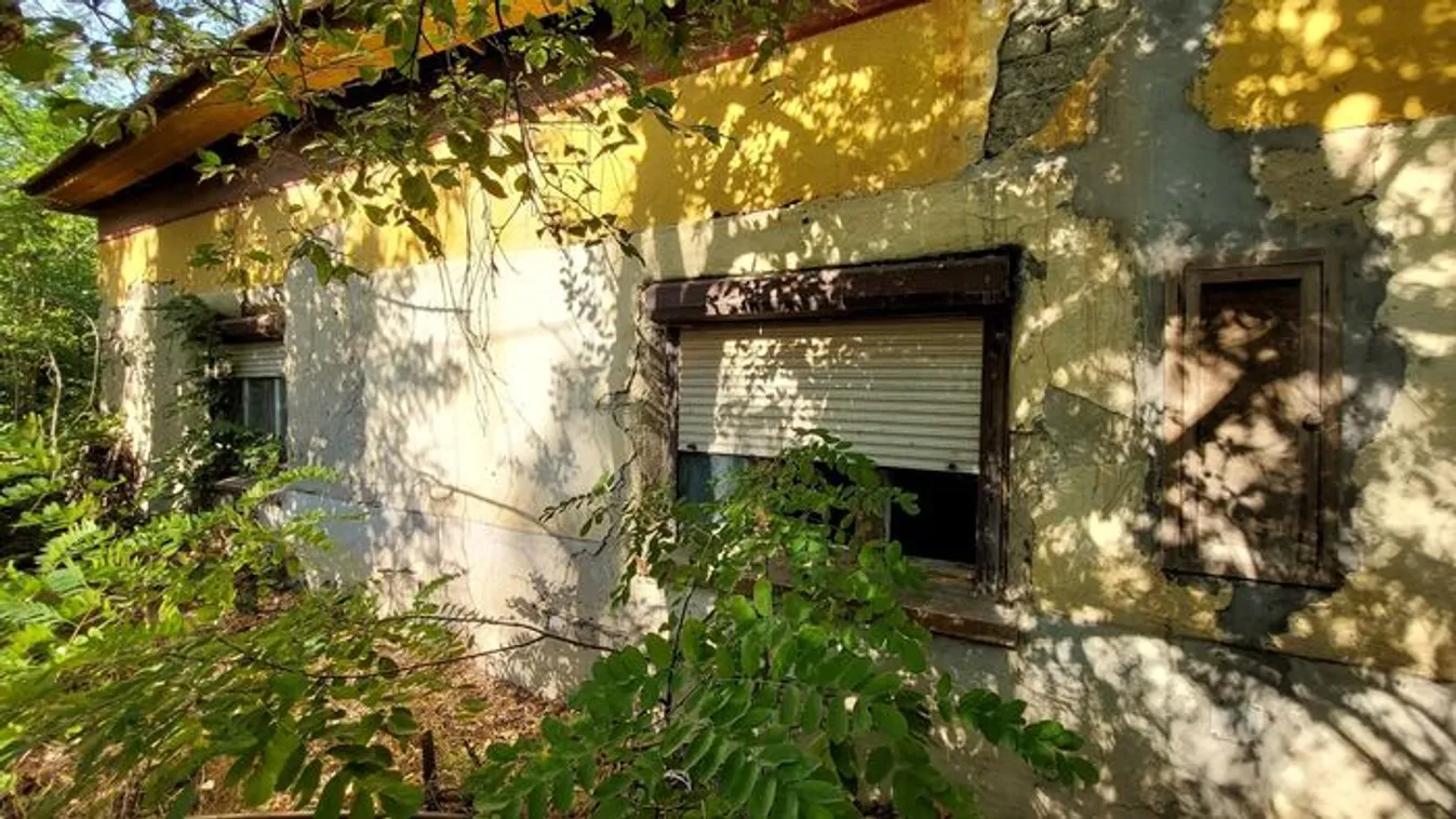 Rejtélyesen tűnt el az otthonából a magyar család