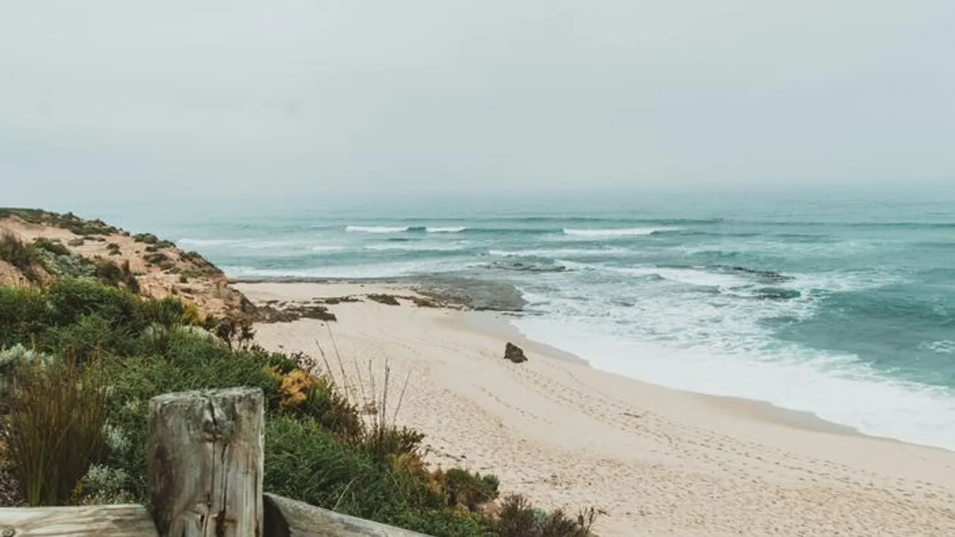 Tucatnyi tetemet fedeztek fel a parton a tudósok