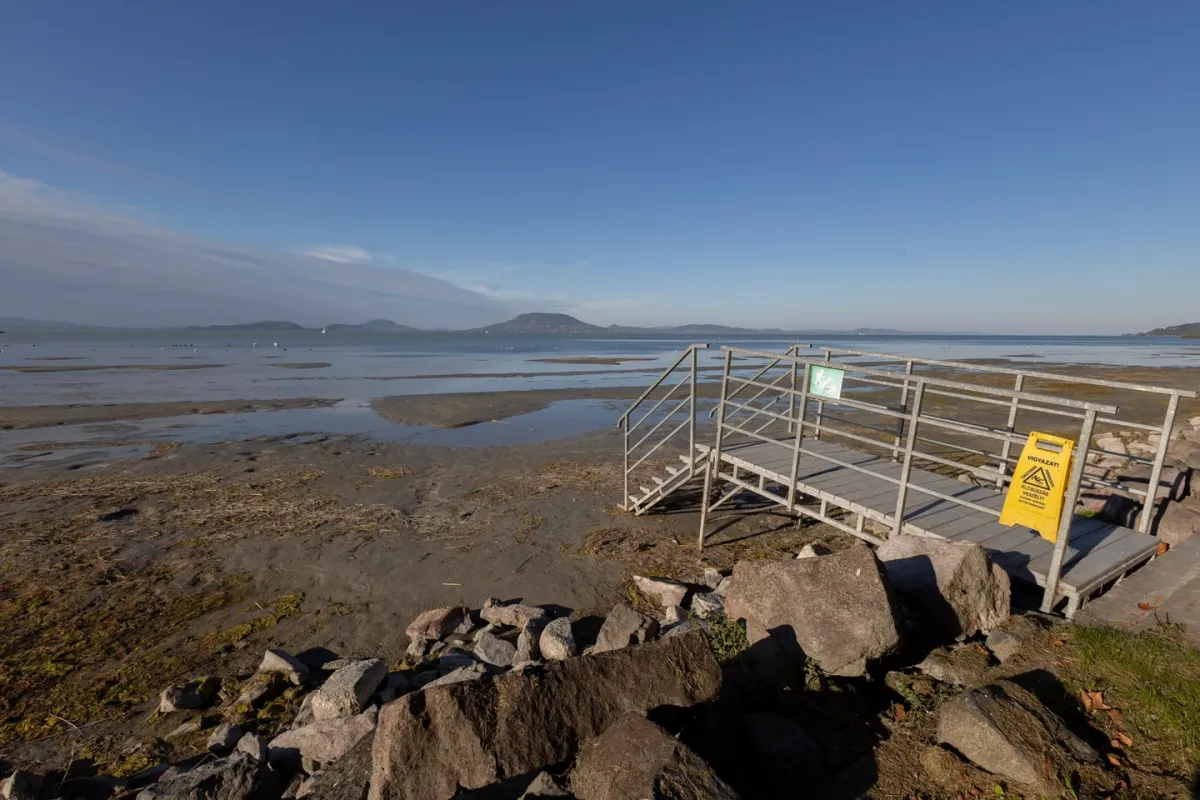 ez a kép nem mesterséges intelligencia bevonsásával készült