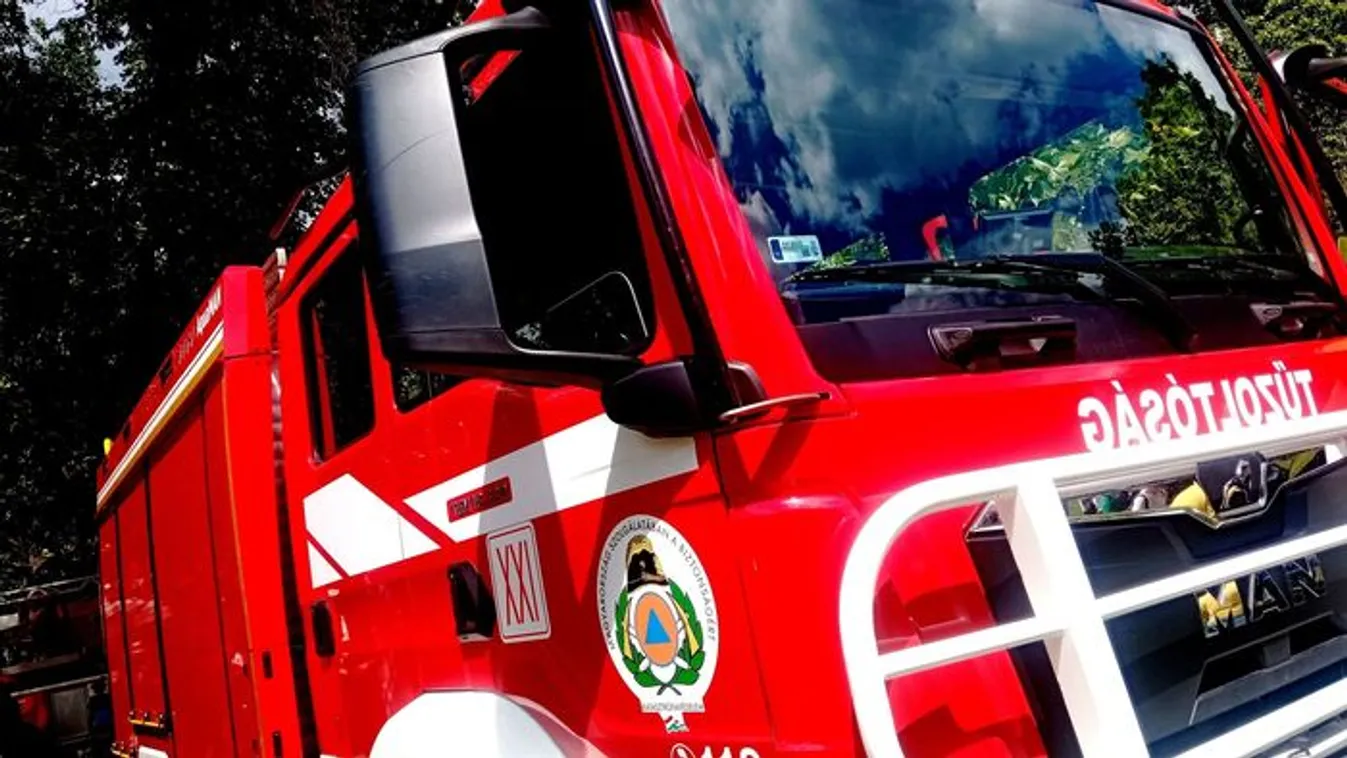 Szörnyű baleset: leszakadt az állatokat szállító utánfutó