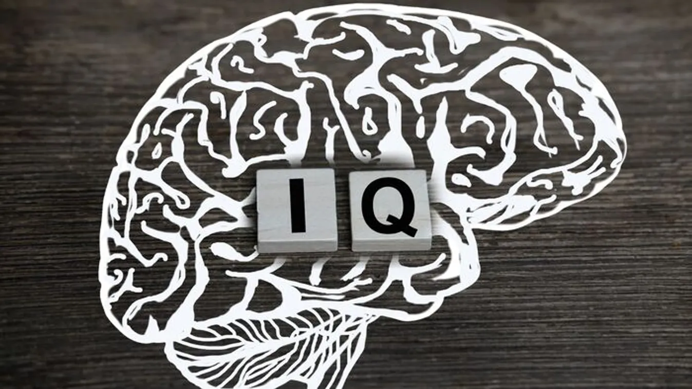 IQ-teszt, töltsd ki és megtudhatod, mennyire vagy okos