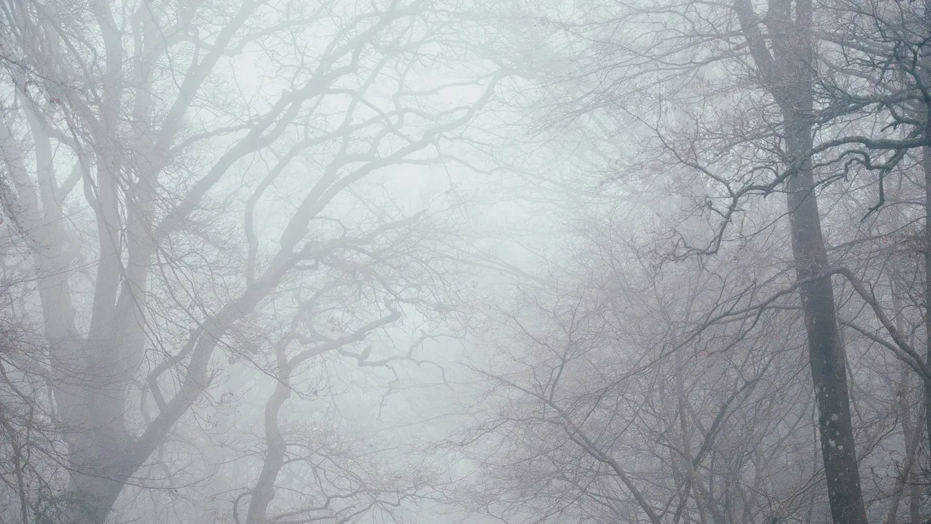 Felhős és ködös lesz az időjárás