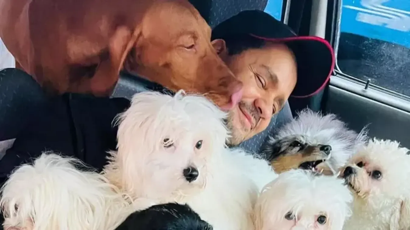 Célba vették a népszerű kutyamentőt: durva vádak után ezt üzenték neki