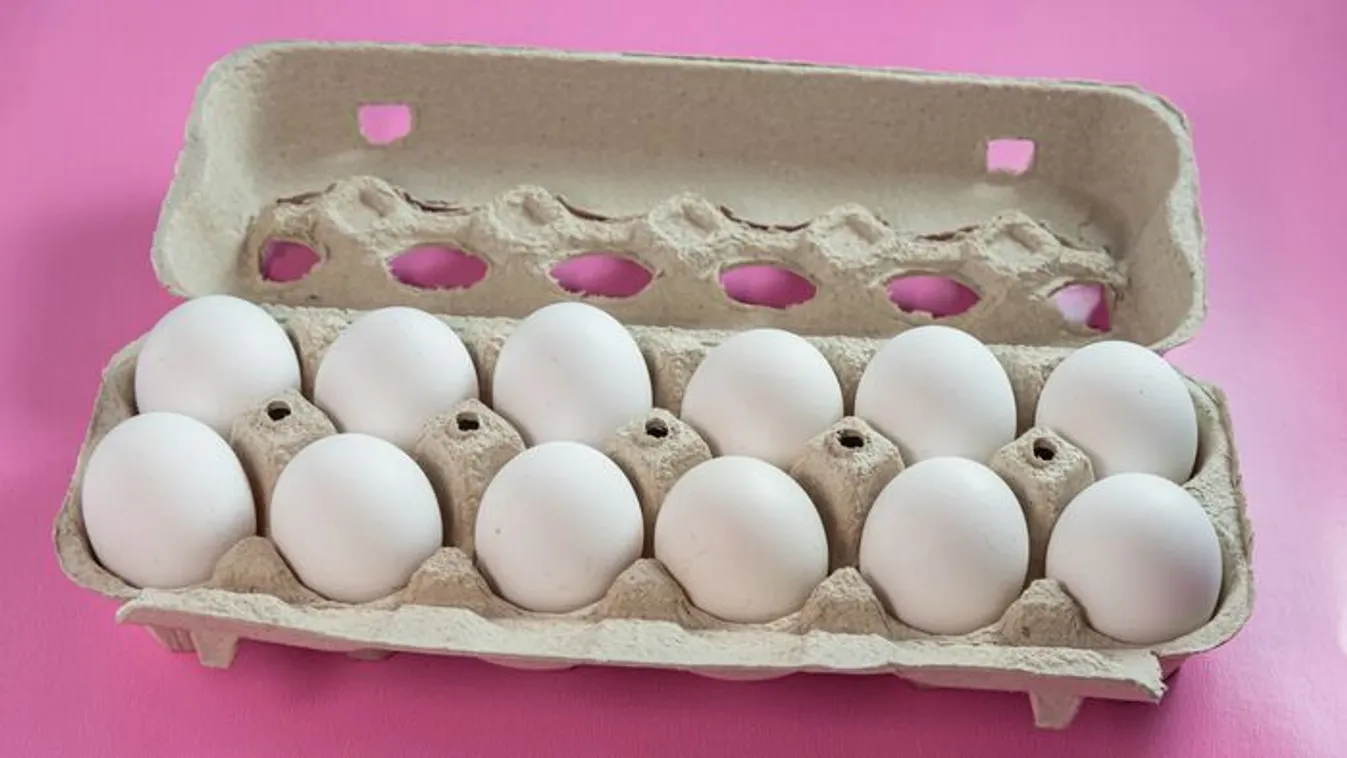 Tojástartó doboz: eszméletlen, mire használhatod