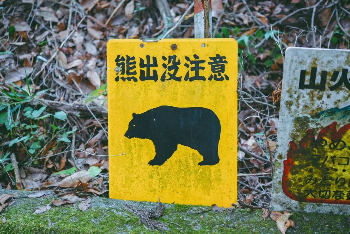 Bear warning sign