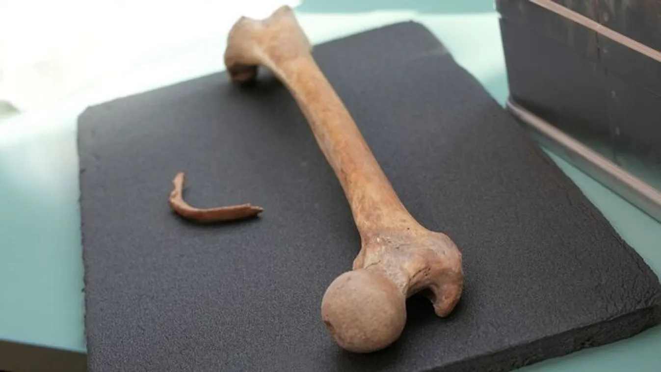 Pengékkel támadtak az ország vezetőjének unokájára