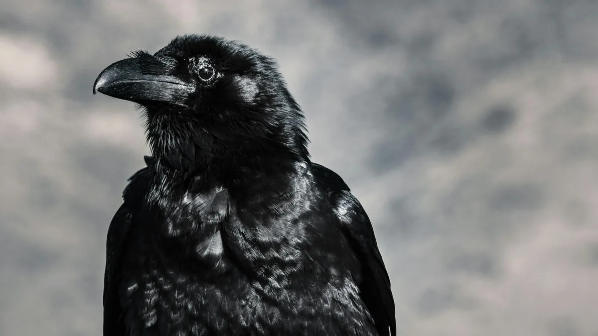 IQ-teszt kell a Budakeszi Vadasparkba?