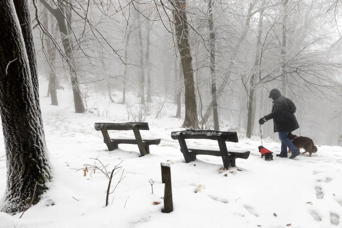 Dobogókőn hatalmas hó esett: Fehérbe borult a táj