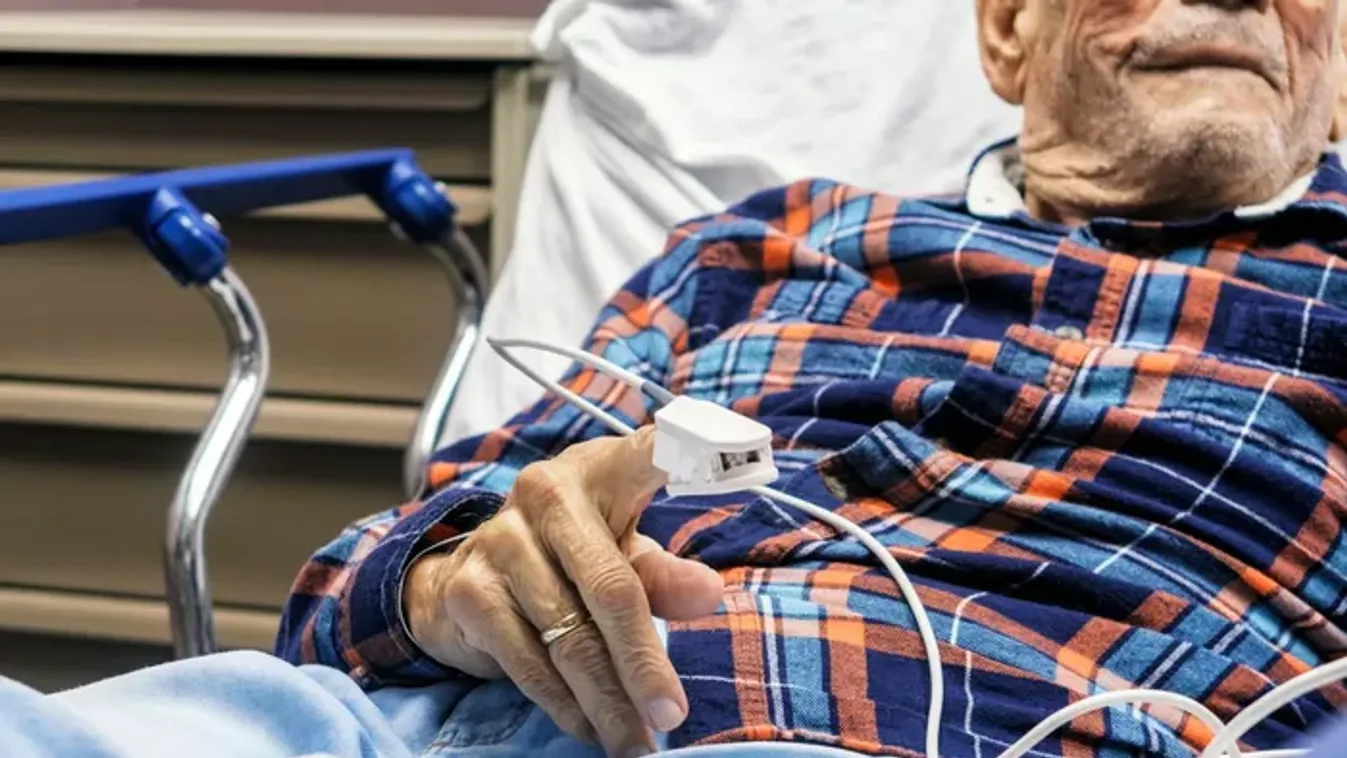 Így szüntetnék meg az ingyenes egészségügyet Magyar Péterék