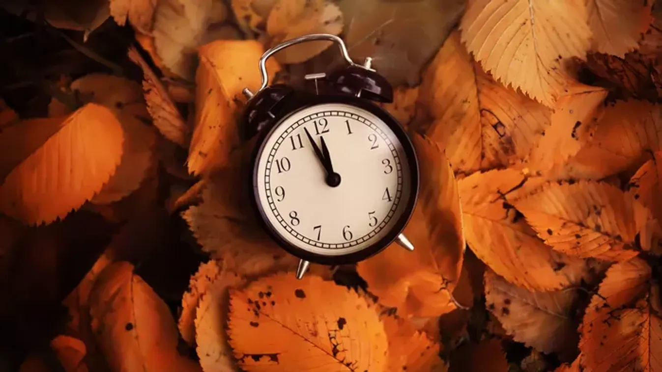 Energiaváltás: ezek a tárgyak ellopják a szerencsédet, távolítsd el őket a lakásból