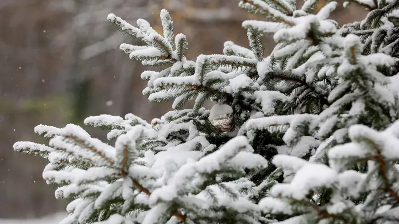 Leesett az első hó a Bakonyban, gyönyörű a táj - Fotók!