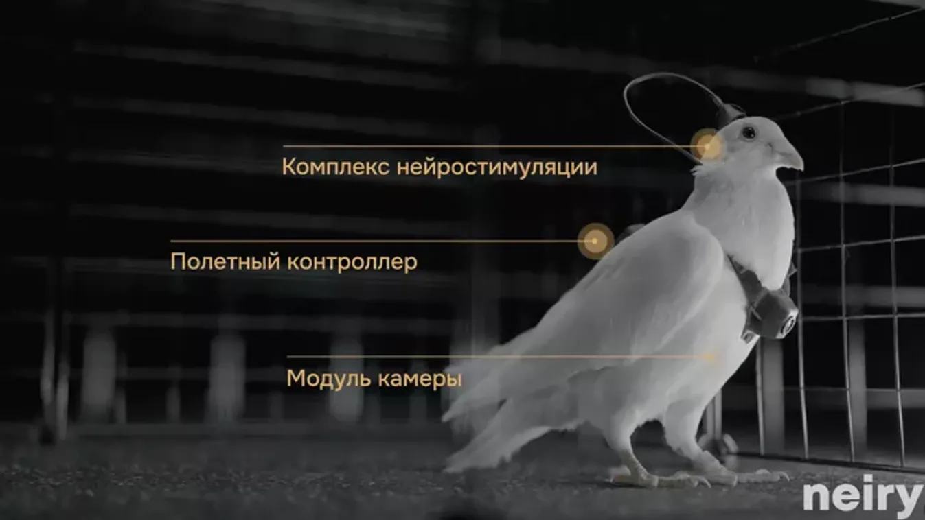 Agychippekkel ellátott dróngalambokat mutattak be az oroszok