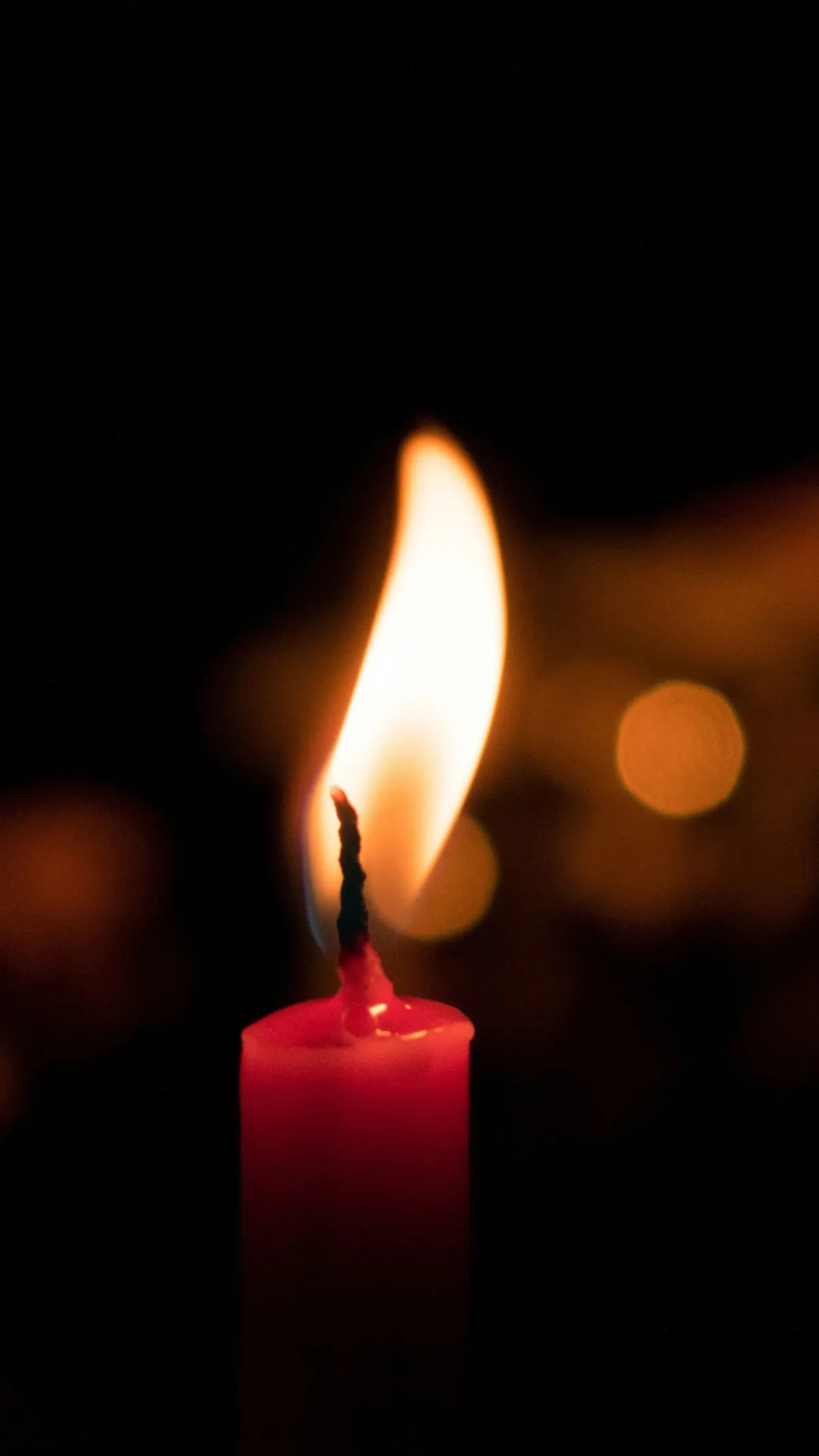 hókotró, magyar férfi, Ausztria, Linz