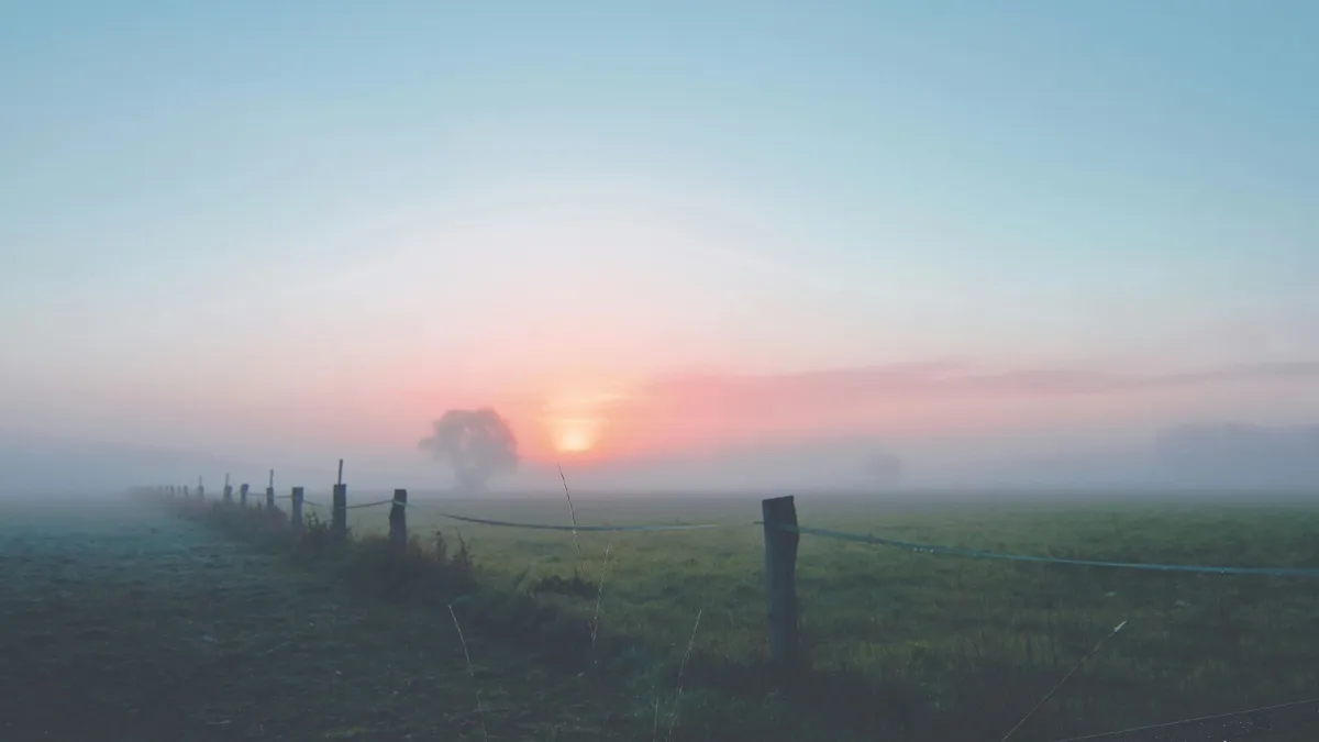Ködös idő? Így védekezik ellene a magyar orvos