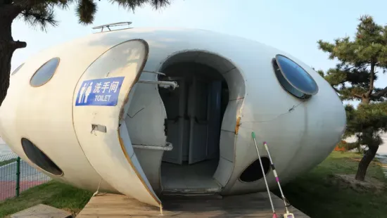 Van átlátszó, arany, mesés és űrbéli - november 19 a vécé világnapja - galéria