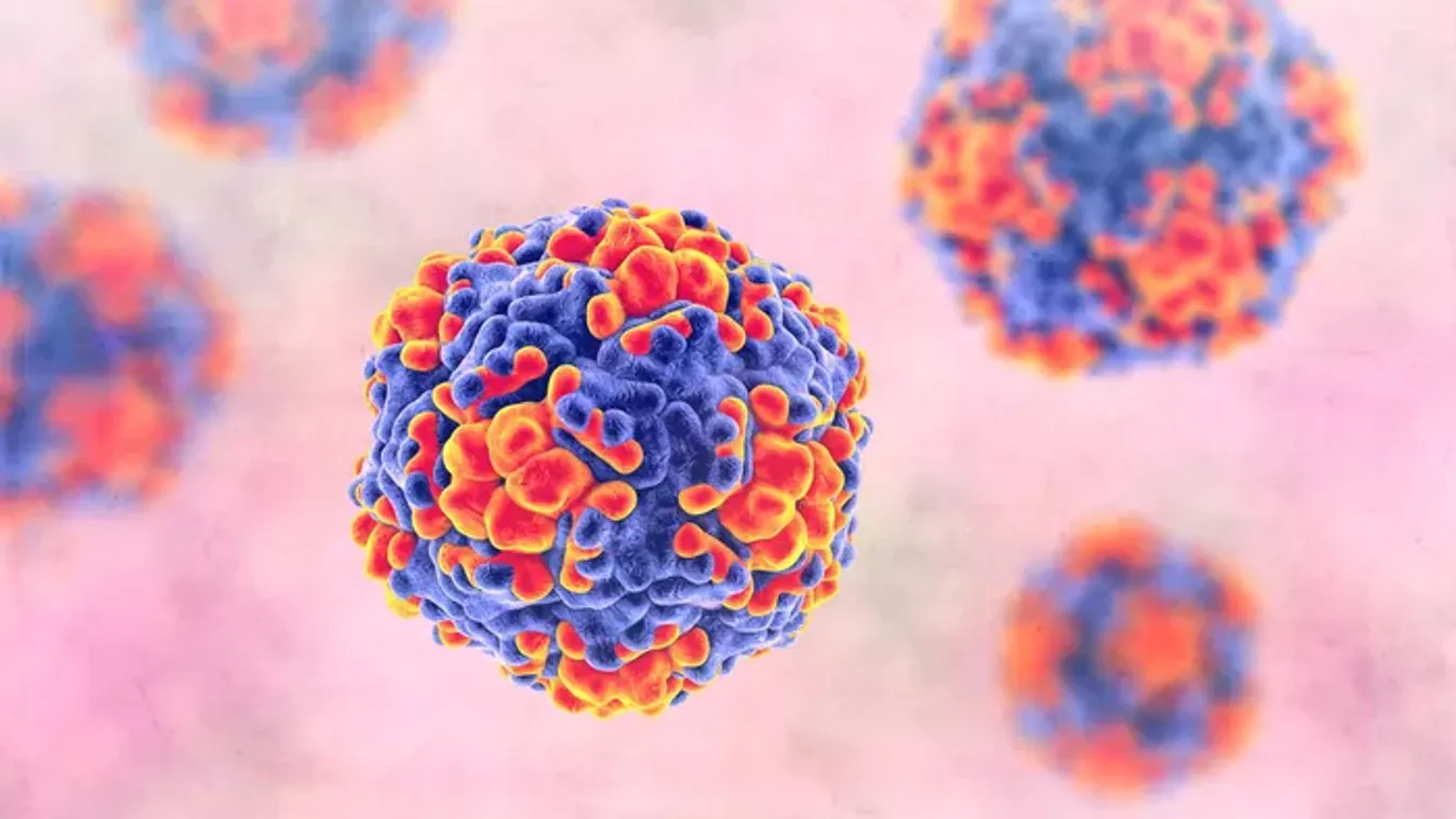 Terjed a hepatitisz A vírus – veszélyben vagyunk?