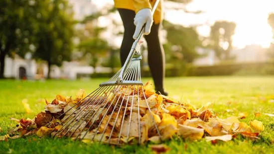 Érkezik a hideg, ezt kell most tenned a kertben