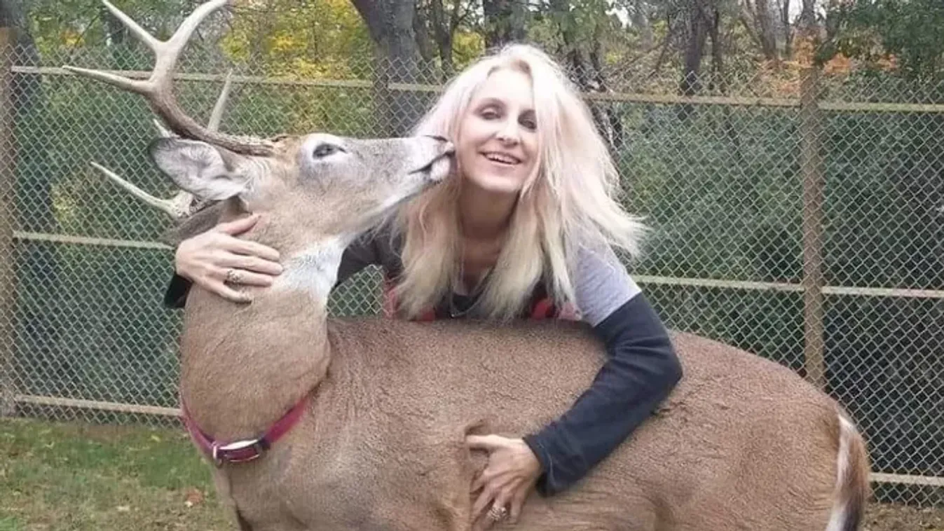 Az állatimádó nagymamát szeretett szarvasa sebezte halálra