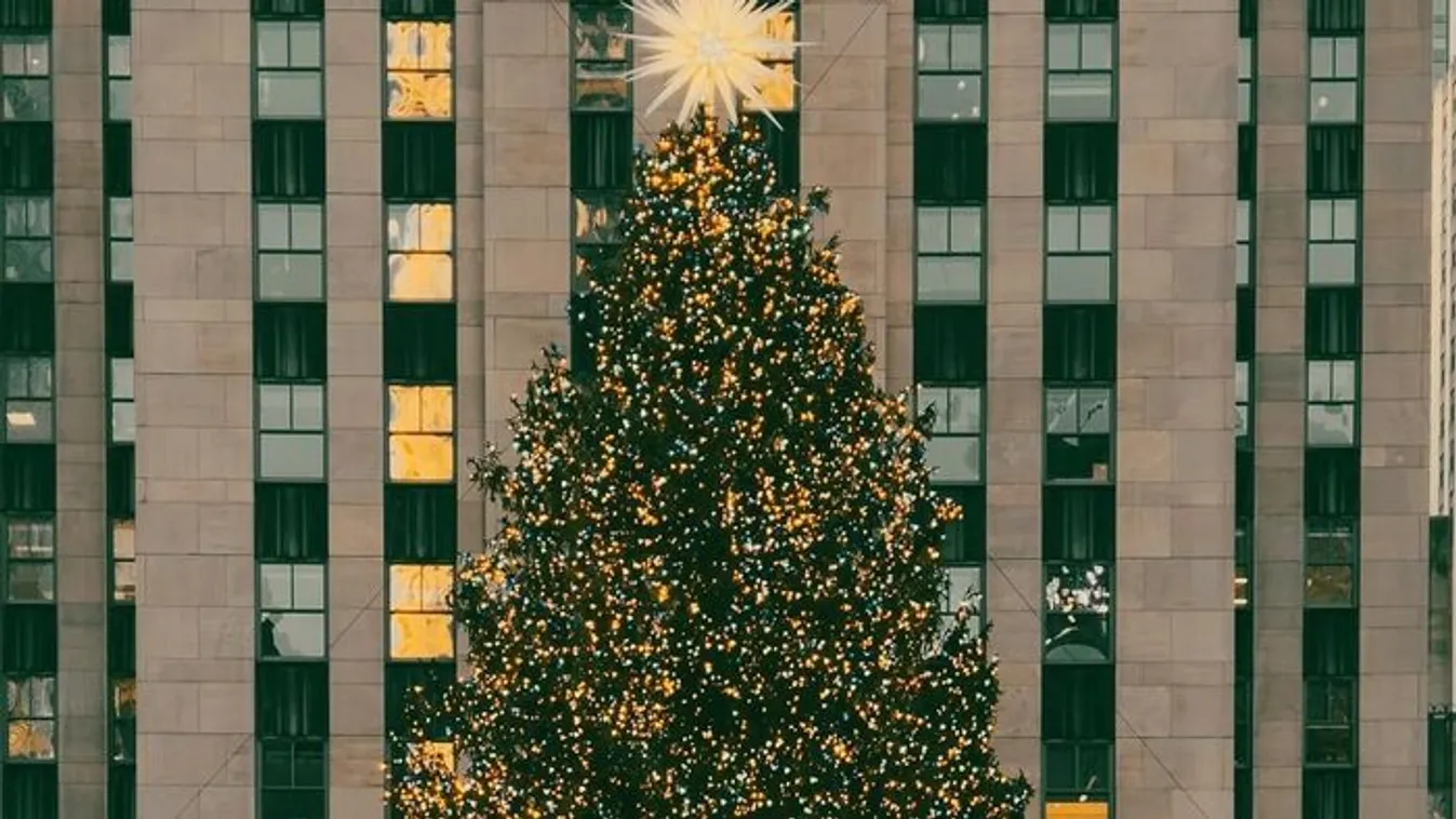 Megvan 2025 karácsonyfája, íme az 20 méteres, 75 éves fenyő