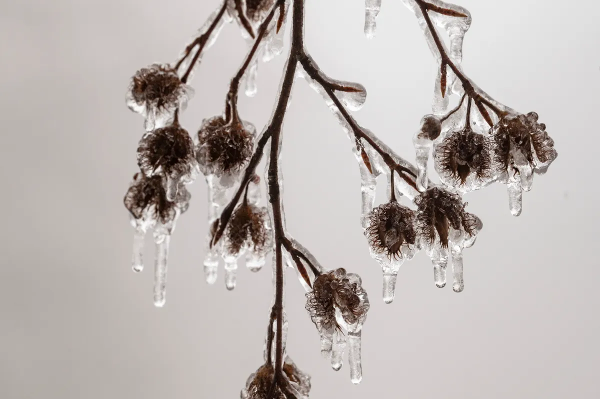 Időjárás: vasárnapra dermesztő fagy éri el az országot