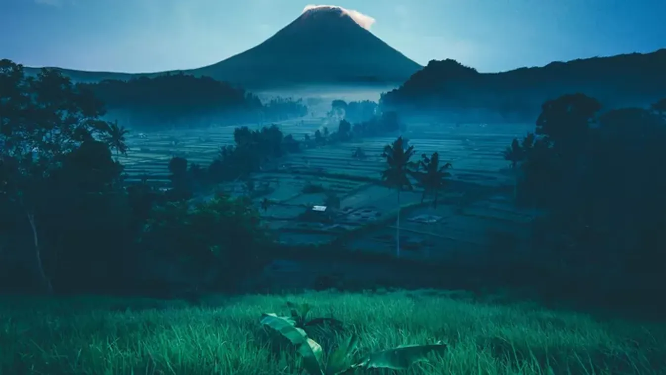 „Túléltem, hogy élve eltemettek - így menekültem meg"