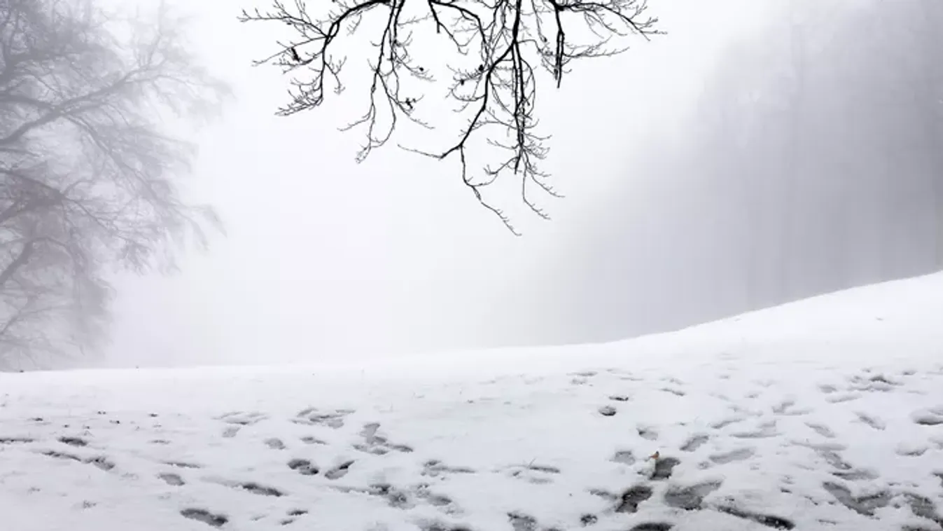 Megérkezett a hó a Gerecse térségébe is - Fotó!