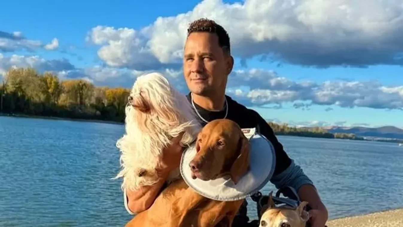 Támadják a kutyamentő Wegera Györgyöt