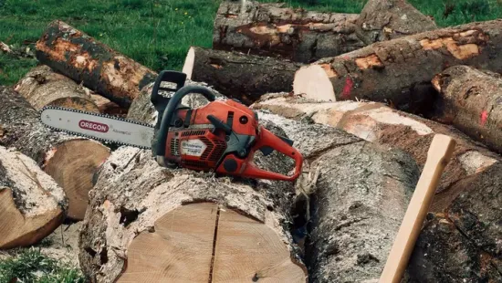 „Megöltem, mert megszállták” - Láncfűrésszel gyilkolta meg barátnőjét egy férfi